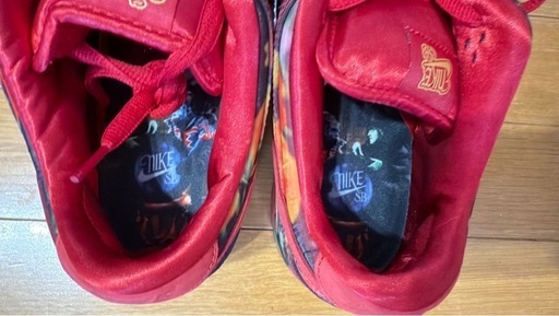 The Wizard of Oz × Nike SB "Poppy Field" 28.5cm 新品