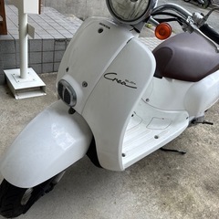 ジョルノクレアの画像