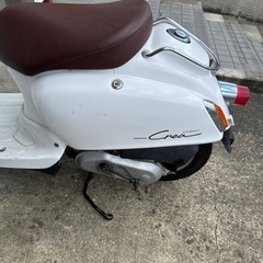 ジョルノクレアの画像
