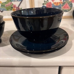 ニトリ　カルエクシリーズの画像
