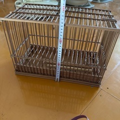 鳥かご メジロ ウグイスの画像