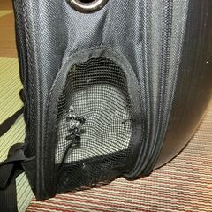 ★小型犬・猫 等　宇宙船型 ペットキャリー・キャリーバッグ・リュックサック★の画像