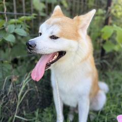 里親様決まりました。