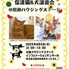 保護猫&保護犬 譲渡会