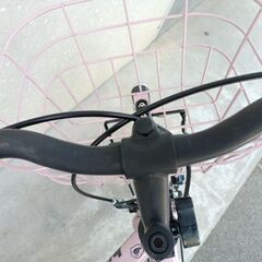 ジュニア 自転車 ブリジストン ビッケJ22の画像