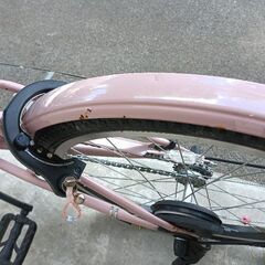 ジュニア 自転車 ブリジストン ビッケJ22の画像