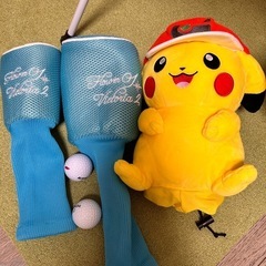 ワールドイーグル　ゴルフクラブセットの画像