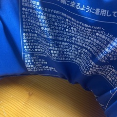 子供用　着用浮き輪の画像