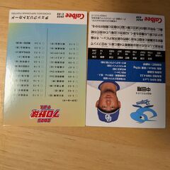 プロ野球チップスの付録のカードの画像