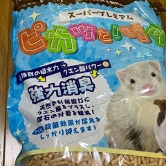 トイレ、小動物用、電源、天然木材トイレの画像