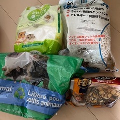 激安‼️小動物飼うのに全て揃ってますの画像