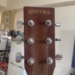 honeybee アコギ  F-15N  の画像