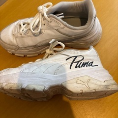 PUMAスニーカーの画像