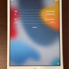 Apple製  iPadmini4 セルラーモデル！の画像