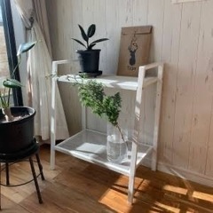IKEA シェルフ　レールベリの画像