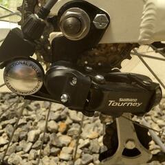 ミニベロ！ブリヂストンMark Rosa改の画像