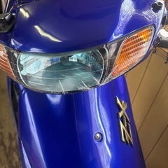 ライブディオの画像