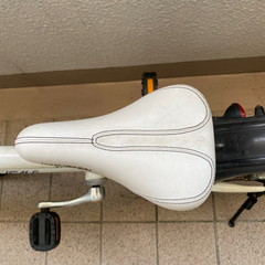 ルイガノ 16インチ　自転車　子供の画像