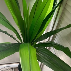 ェイクグリーン／観葉植物風インテリア　155cmほどの画像