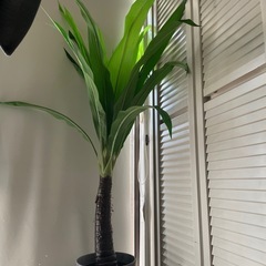 ェイクグリーン／観葉植物風インテリア　155cmほどの画像