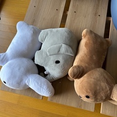 8/20まで！の画像