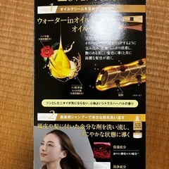 hoyu ビゲン オイルパックカラー やや明るいアッシュブラウンとナチュラルブラウン2セットの画像