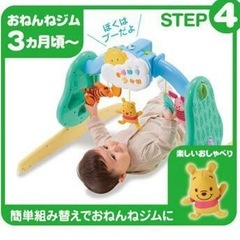 プーメリー箱無しの画像
