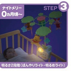 プーメリー箱無しの画像