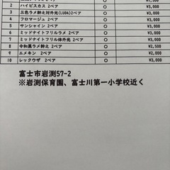 メダカの画像