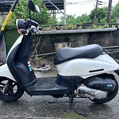 トゥデイ AF67 原付①の画像