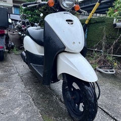 トゥデイ AF67 原付①の画像