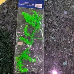 水槽レイアウトに⭐︎レプリカ海藻ウミブドウの画像