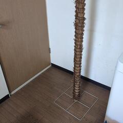 パイナップルの木（おもちゃの木）の画像