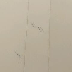 0727-091 Caraz ベビーキッズ　プレイマットの画像