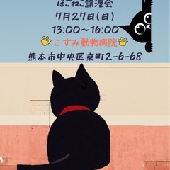こすみ動物病院で仔猫の譲渡会やってます。