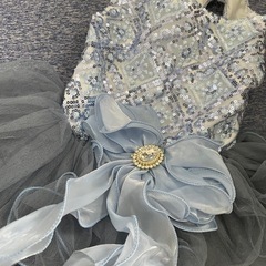 【犬服・ドレス】小型犬用ウェディングセットの画像