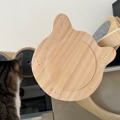 登り棒キャットタワー（230cm〜250cm）の画像