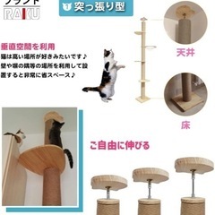 登り棒キャットタワー（230cm〜250cm）の画像