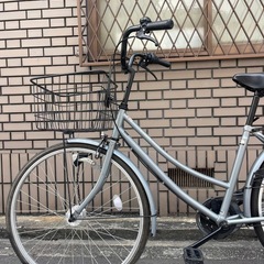 綺麗な状態の画像