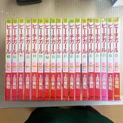 0727-202 ピーチガール　1〜18巻の画像
