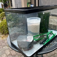 水槽60CMとエーハイム濾過器一式の画像