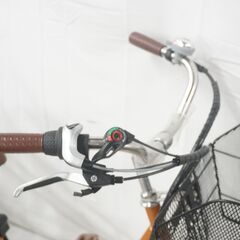 21テクノロジー AOSL203 年式不明 3輪電動アシストの画像