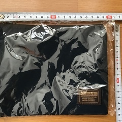 CoCoichi ポーチの画像