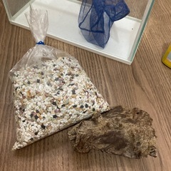 金魚飼育セットの画像