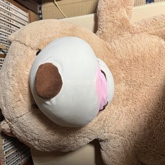 コストコ巨大テディベアの画像