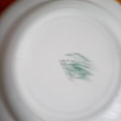 大きめカレー皿3枚の画像