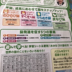 パズル　世界の様子の画像