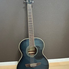 James アコースティックギター　青　J -300A　の画像