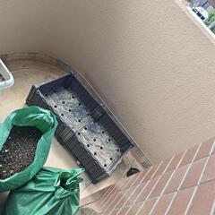 プランターや土、無料差し上げます。7/29の画像