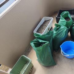 プランターや土、無料差し上げます。7/29の画像